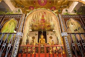 2026 Egzotika Šri Lanke